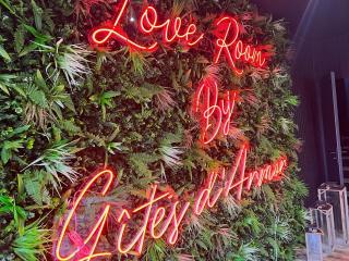 LoveRoom avec SPA privatif Plélo - Plélo - 8