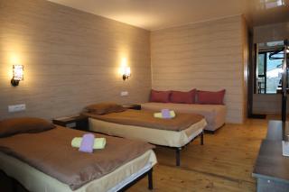 Kazbegi Cottages - 9