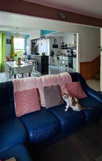 Chambre chez l'habitante "Bambou" - 9