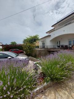 Apartments Haus Antica - Malinska - 9