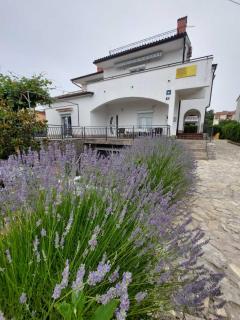 Apartments Haus Antica - Malinska - 7