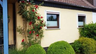 Ferienwohnung in Gartenlandschaft - Kassel - 3