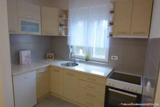 Apartman Gajic 2 Vrnjacka banja - Vrnjačka Banja - 3