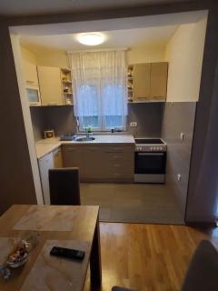 Apartman Gajic 2 Vrnjacka banja - Vrnjačka Banja - 2