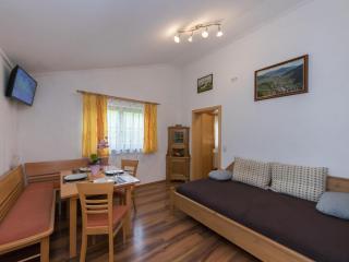 Apartment in Kaprun Salzburgerland near ski area - Kaprun - 9