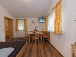 Apartment in Kaprun Salzburgerland near ski area - Kaprun - 3