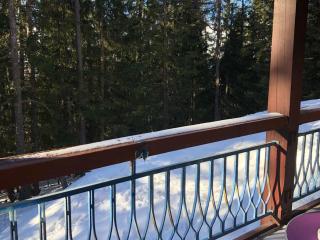 Appartement rénové 7/8 pers, au calme avec balcon, parking et wifi inclus, au centre de la station - FR-1-346-307 - Arc 1800 - 1