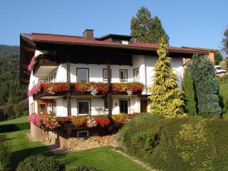 Gorgeous Apartment near ski area - Afritz - 4
