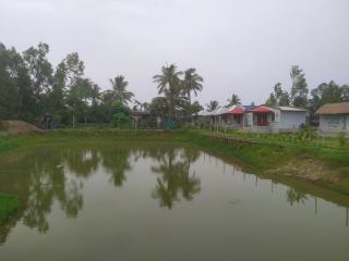 sundarban jungle mahal resort - Gosāba - 2