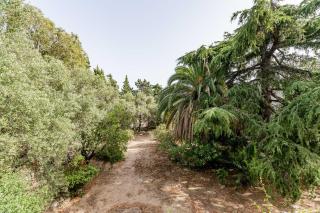 La Viguerie par Dodo-a-Cassis - Cassis - 6