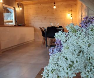 Sauna balia - Nowa Osada Domki przy plaży - całoroczne domki na Mazurach - 2