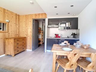 Studio rénové avec balcon et proche des pistes - 3 pers., tout confort, idéal ski! - FR-1-344-948 - Les Menuires - 0