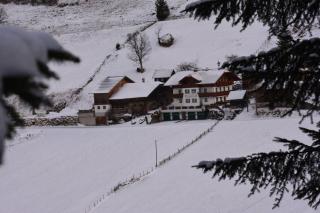 BioBauernhof Fresoldhof - 9