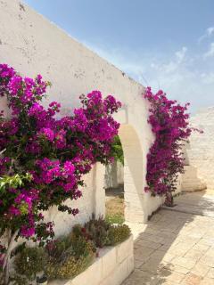 Masseria Piccole Taverne - 5