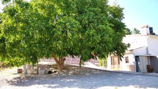 VENTA DE LA CASA NOGUERA - Riópar - 2