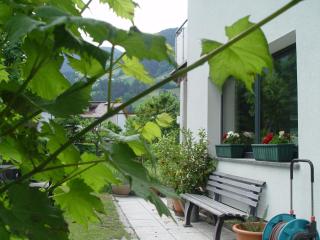 Appartement Birgla - Ramsau im Zillertal - 8