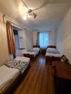 Rusudani Family Guesthouse - Kasbegi - 4