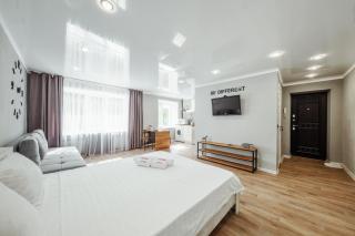 Квартира-студия в центре Публика - Petropavlovsk - 3