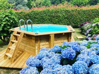 Villa de charme parc fleuri, arboré et piscine à BIARRITZ - Biarritz - 4
