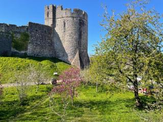 Chateau Terrace Georgian House - 5
