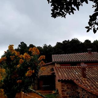 Mas Cal Sastre - Sant Hilari Sacalm - 3
