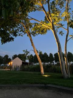 Hove Ter Hille - Jabbeke - 1