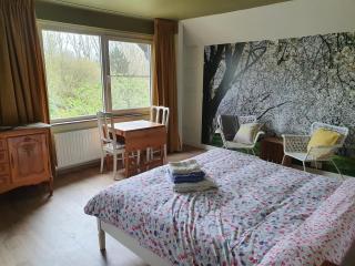 Villa Kakelbont Borgloon - 4