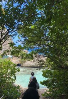 "Le champs" des oiseaux - Anse-Bertrand - 7