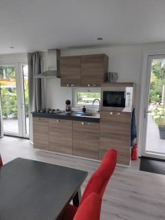 Chalet Moderna Putten - Putten - 1