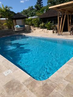 Lotus Garden - Île de la Réunion - 7