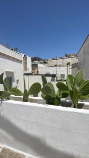 Mambo Salentino Guest House - Matino - 1