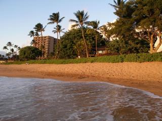 Royal Lahaina Resort & Bungalows - Lahaina - 7