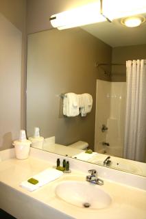 Carpenter Street Hotel - Springfield - 4