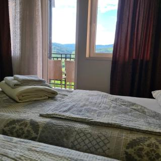 RA Apartmani Vrdnik - Vrdnik - 6