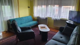Apartment Roxana Vrdnik - Vrdnik - 6