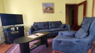 Apartment Roxana Vrdnik - Vrdnik - 0