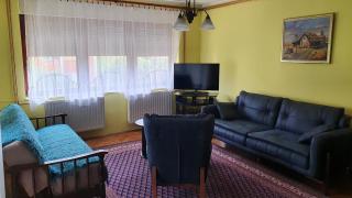 Apartment Roxana Vrdnik - Vrdnik - 8