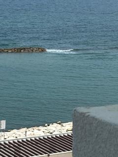 Bari Nalasia Beach Apartment - Bari - 6
