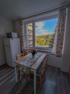 Apartmánek Protěž - Janské Lázně - 9