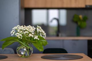 Apartament No 34 Green - Holiday Home Zator - Zator - 3