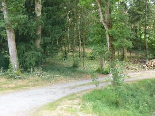 chateau de Craon - Comblessac - 8