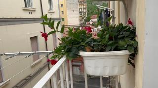 St. Vincent Apartment - Castellammare di Stabia - 7