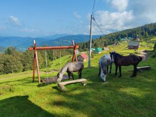 Mountain House Komovi-Radunovic - 5