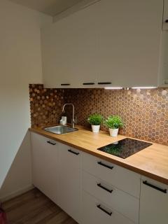 Apartament Rodzinny Baltic Park Stegna - Stegna - 5