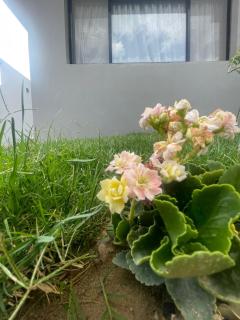 Villa Orchid Al Hada "فيلا اوركيد الهدا" - 4