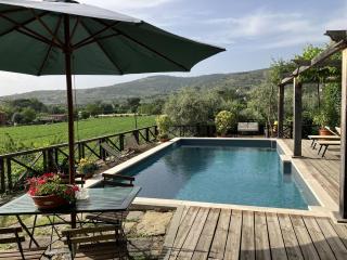 Villa Toppani Del Sodo - Cortona - 2