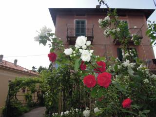 Una FINESTRA sul LAGO - 7