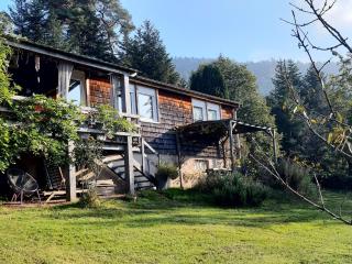 Holiday home in Raon-L'etape with garden - Raon-lʼÉtape - 5