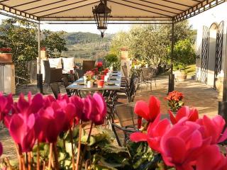 B&B Le Dimore Mezza Costa - San Casciano in Val di Pesa - 0