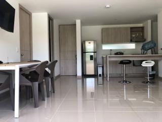 Hermoso apartamento en SANTA FE DE ANTIOQUIA - Medellín - 7